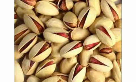 تصویر 1 از پسته اکبری + خرید